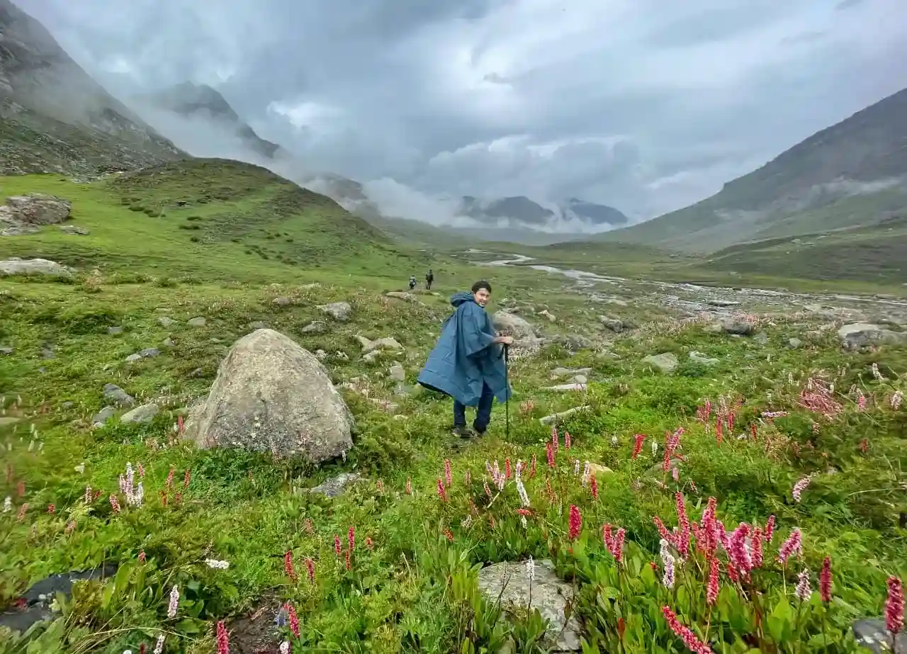 A trekker in the green meadows while trekking for Kashmir great lakes trek